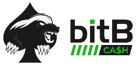 Download BitB PIO Masterclass Cheap | PIO Solver Training – Instant Download Edition